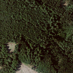 Satellite imagery of Riesenstein, DE