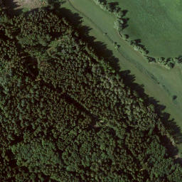 Satellite imagery of Riesenstein, DE