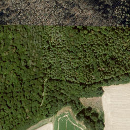 Satellite imagery of Eichenberg, DE