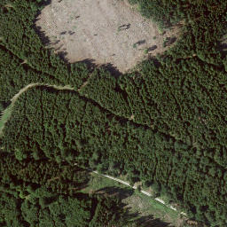 Satellite imagery of Riesenstein, DE