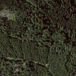 Satellite imagery of Riesenstein, DE