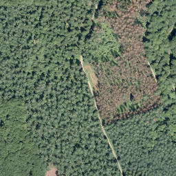 Satellite imagery of Plattberg, DE