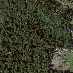 Satellite imagery of Riesenstein, DE