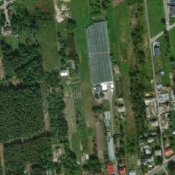 Satelita