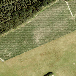 Satellite imagery of 398-A, NL