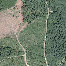 Satellite imagery of Plattberg, DE