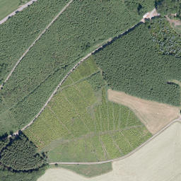 Satellite imagery of Hirtenberg, DE