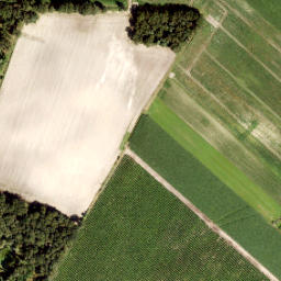 Satellite imagery of 151, NL