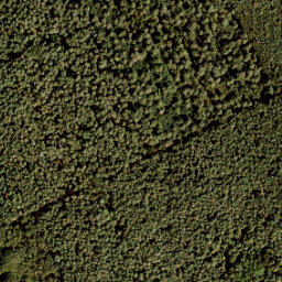 Satellite imagery of 403-A, NL