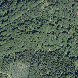 Satellite imagery of Primenekes Kopf, DE