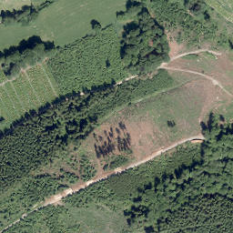Satellite imagery of Schneiderkopf, DE