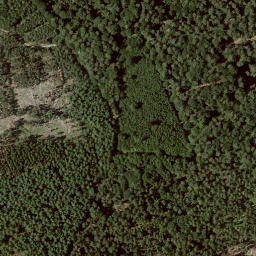 Satellite imagery of Eichenberg, DE