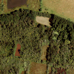 Satellite imagery of Grenspaal 159, NL