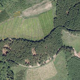 Satellite imagery of Schneiderkopf, DE