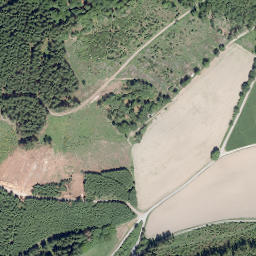 Satellite imagery of Schneiderkopf, DE