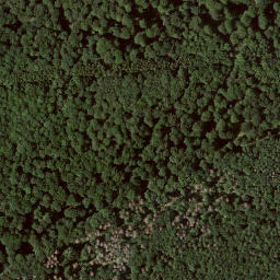 Satellite imagery of Michelskopf, DE