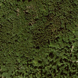 Satellite imagery of Sohlberg, DE