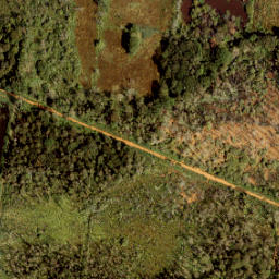 Satellite imagery of Grenspaal 159, NL