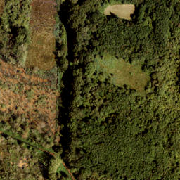 Satellite imagery of Grenspaal 159, NL