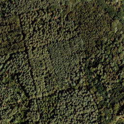 Satellite imagery of 409, NL