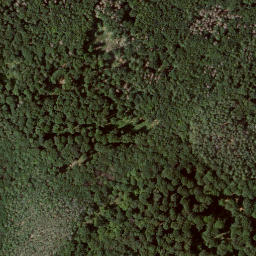 Satellite imagery of Michelskopf, DE