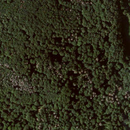 Satellite imagery of Michelskopf, DE