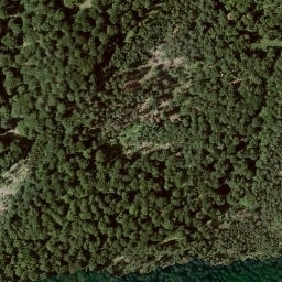 Satellite imagery of Dortelsberg, DE