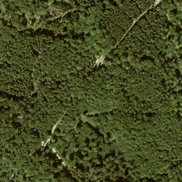 Satellite imagery of Sohlberg, DE