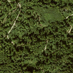 Satellite imagery of Sohlberg, DE