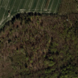 Satellite imagery of Grodziec - Zamek, PL