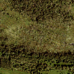 Satellite imagery of Grenspaal 159, NL