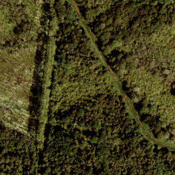 Satellite imagery of Grenspaal 159, NL