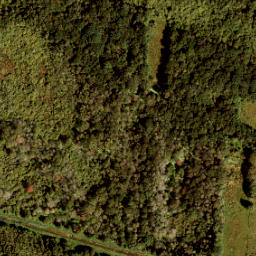 Satellite imagery of Grenspaal 159, NL