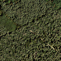 Satellite imagery of 393, NL