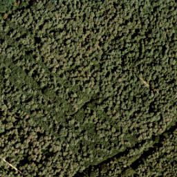 Satellite imagery of 393, NL