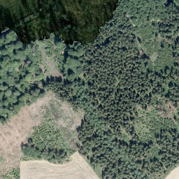 Satellite imagery of Kälberberg, DE