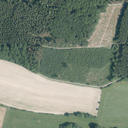 Satellite imagery of Ellenberg, DE