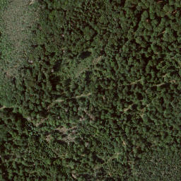 Satellite imagery of Michelskopf, DE