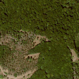 Satellite imagery of Finkenberg, DE
