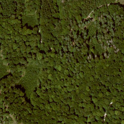 Satellite imagery of Finkenberg, DE