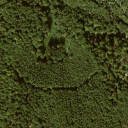 Satellite imagery of Asbachhöhe, DE