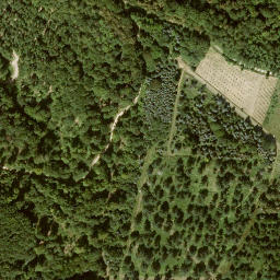 Satellite imagery of Asbachhöhe, DE
