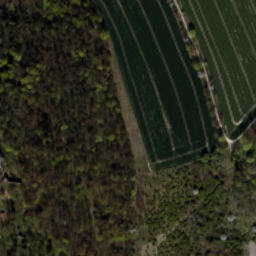 Satellite imagery of Grodziec - Zamek, PL