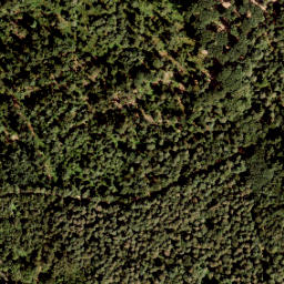 Satellite imagery of 407, NL