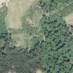 Satellite imagery of Kälberberg, DE