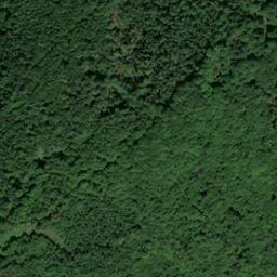 Satellite imagery of Ringelsberg, DE