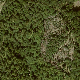 Satellite imagery of Judenberg, DE