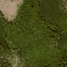 Satellite imagery of Finkenberg, DE