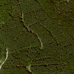Satellite imagery of Wernersberg, DE