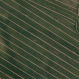 Satellite imagery of Tanne-Berg, DE